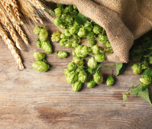 Sustainability for breweries – the challenge for the future!